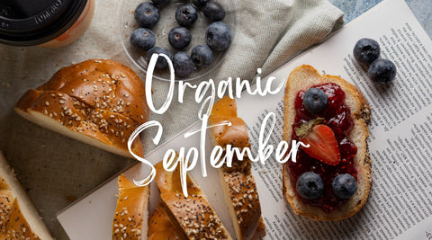 Wholesome Organic Favourites to Brighten Your Day