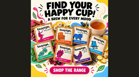 teapigs tea temple range