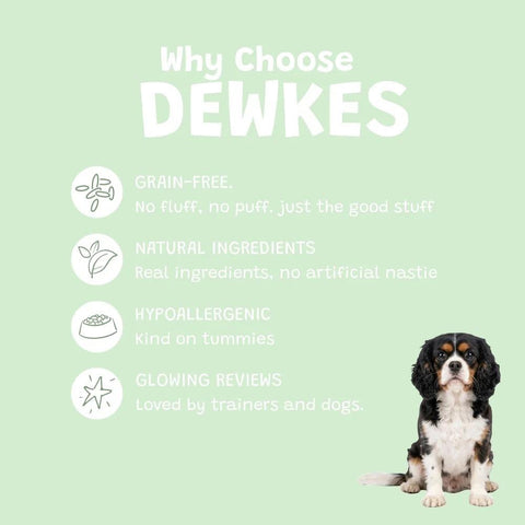Dewkes Lamb Lunch Grain Free Dry Dog Food 2kg