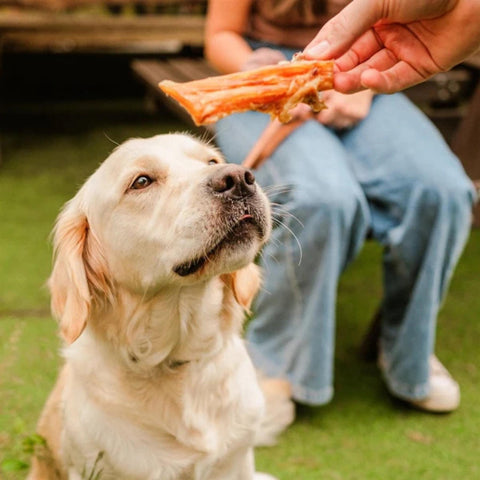 Dewkes Beefy Sticks Dog Treats 85g 100% Beef Tendon