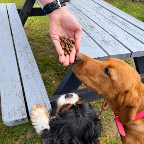 Dewkes Fishy Bites Dog Treats Grain Free 60g, packaging photo 6