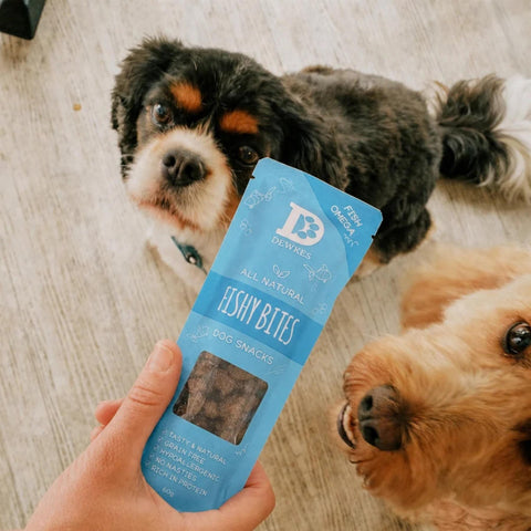 Dewkes Fishy Bites Dog Treats Grain Free 60g