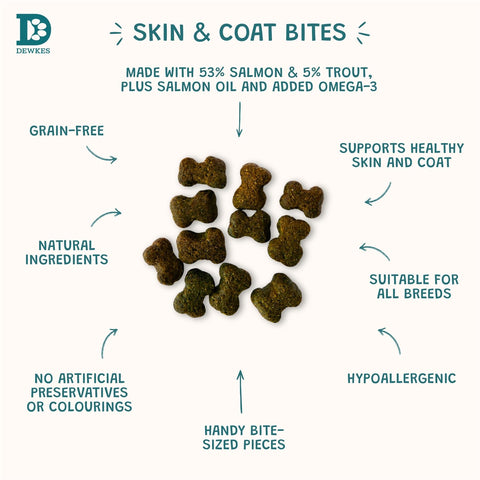 Dewkes Skin & Coat Bites Salmon Dog Treats 70g