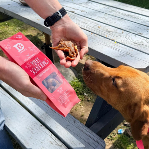 Dewkes Porky Scratchings Dog Treats 65g 100% Pork