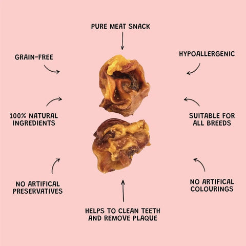 Dewkes Porky Scratchings Dog Treats 65g 100% Pork