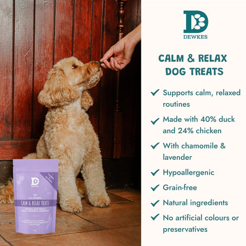 Dewkes Calm & Relax Bites Calming Dog Treats 70g