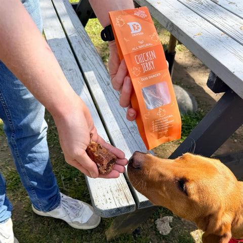 Dewkes Chicken Jerky Dog Treats 40g 100% Chicken Breast