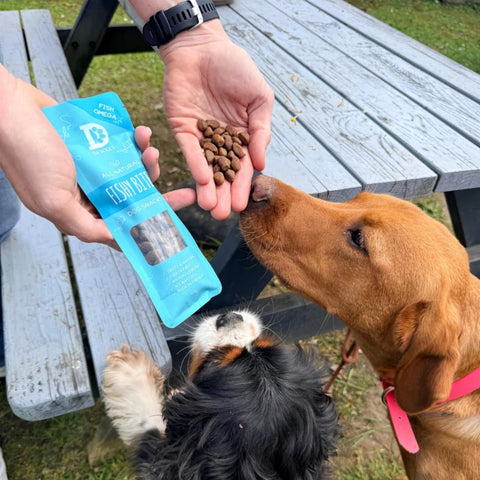 Dewkes Fishy Bites Dog Treats Grain Free 60g