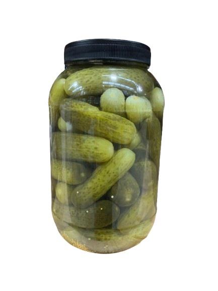 Fresh Packes Pickles Gherkins 4kg