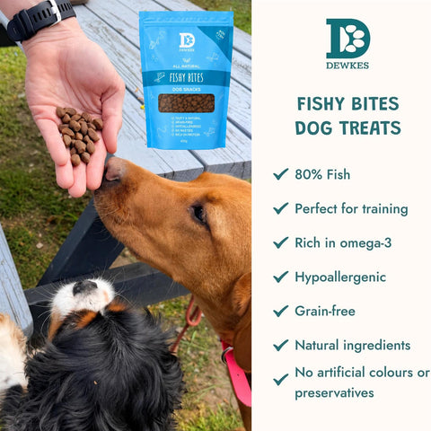 Dewkes Fishy Bites Dog Treats Grain Free 400g
