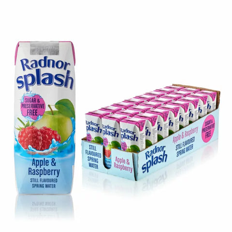 Radnor Splash Apple and Raspberry Sugar Free Tetra-Pak 24x250ml