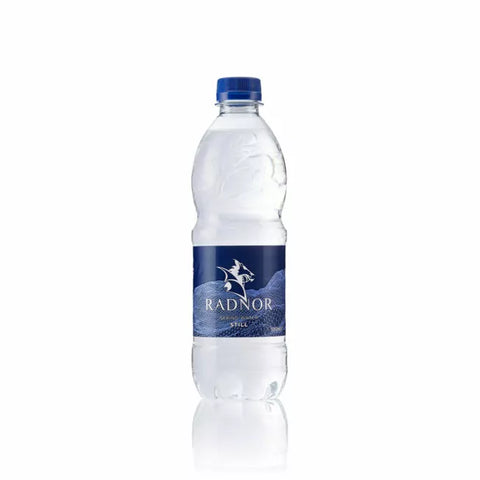 Radnor Hills Still Mineral Water Plain Cap Bottle 24x500ml