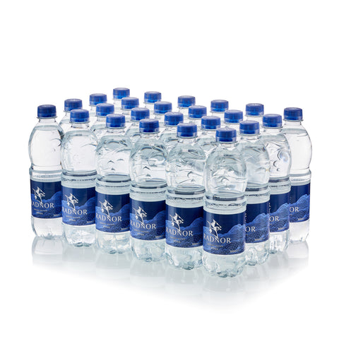 Radnor Hills Still Mineral Water Plain Cap Bottle 24x500ml