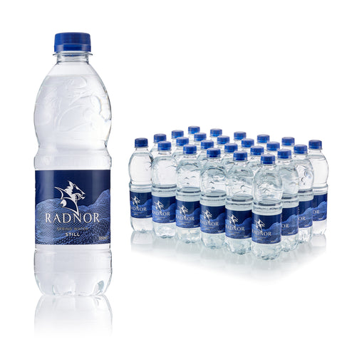 Radnor Hills Still Mineral Water Plain Cap Bottle 24x500ml