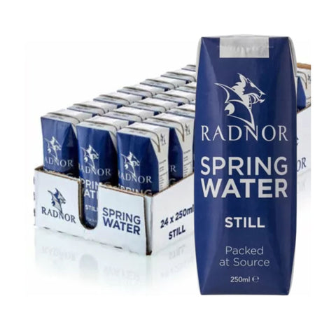 Radnor Hills Still Spring Water Tetra-Pak 24 x 250ml