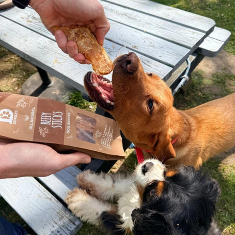 Dewkes Beefy Sticks Dog Treats 85g 100% Beef Tendon
