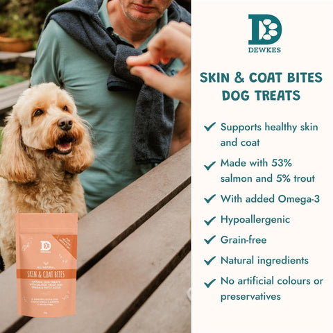 Dewkes Skin & Coat Bites Salmon Dog Treats 70g