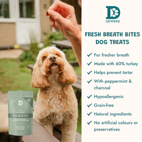 Dewkes Fresh Breath Bites Dental Dog Treats 70g
