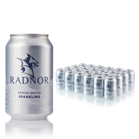 Radnor Hills Sparkling Spring Water Cans 24 x 330ml