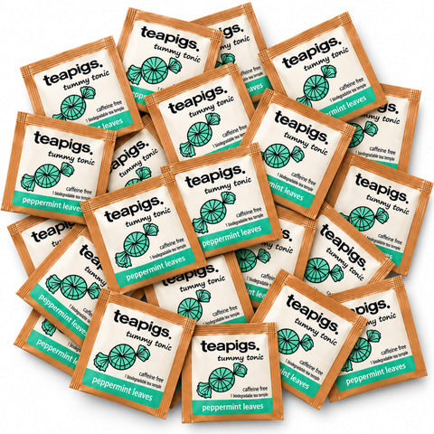Teapigs Peppermint Leaves Tea 50 Envelopes, packaging photo 1