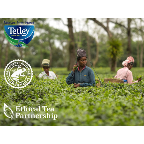 Tetley Original Enveloped Tea Bags - 200 Pack