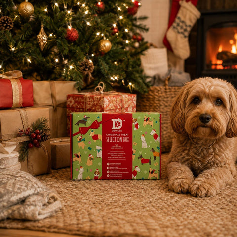 Dewkes Christmas Dog Treat Gift Box, packaging photo 7